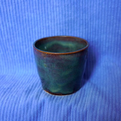 4_t_Tasse boréale (1)